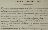 Piedmont, Act of Birth, Click here to enlarge